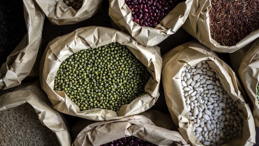 fazole, luštěniny, bílkoviny, proteiny, zdroje bílkovin, vysoký obsah bílkovin