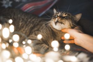Jakmile cítíte, že na vás „něco leze“, zalezte nekompromisně do postele. 